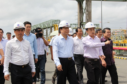 Провинция Камау должна активизировать реструктуризацию сельского хозяйства и развивать преимущество